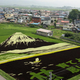 Illustration for article titled Behold These Incredible Artworks Grown from a Rice Field in Japan